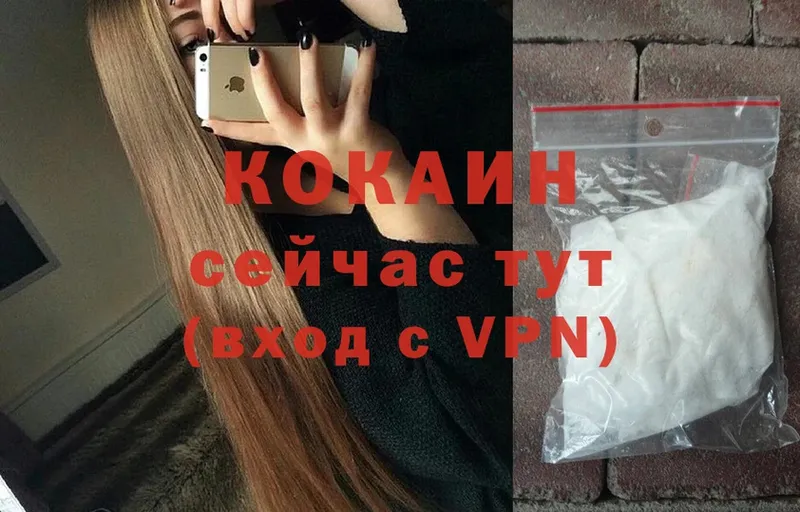 Cocaine FishScale  Анадырь 