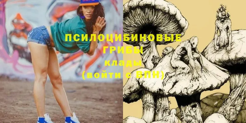 закладки  blacksprut зеркало  Псилоцибиновые грибы Psilocybe  Анадырь 